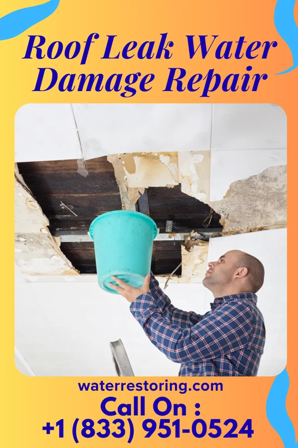 Roof Leak Water Damage Repair in Malad City, ID